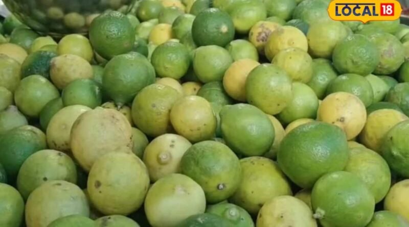 Lemon Price: આવક ઘટતા લીંબુના ભાવમાં વધારો, 80 રૂપિયાના લીંબુ 400 રૂપિયાએ પહોંચ્યા