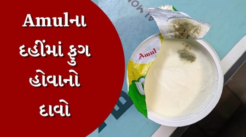 Breaking News: રાજકોટમાં ગ્રાહકે Amulના દહીંમાંથી ફૂગ નીકળી હોવાનો કર્યો દાવો, જુઓ Video
