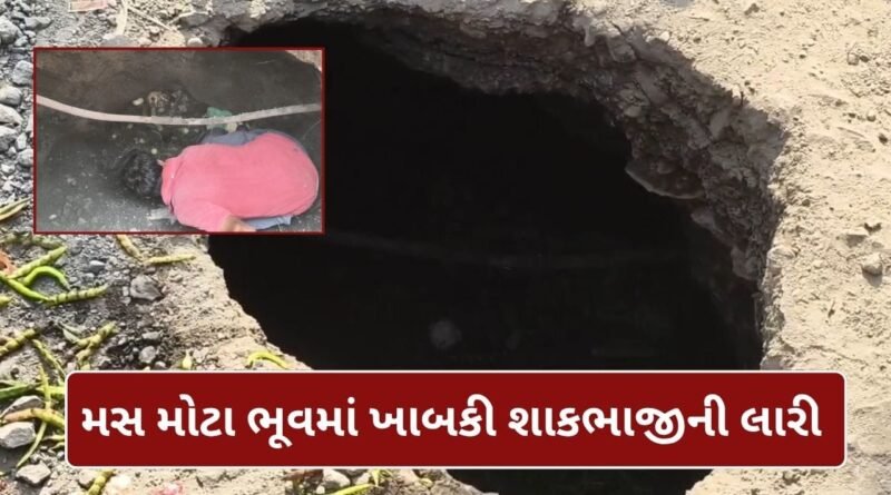 Vadodara Breaking : રસ્તા પર અચાનક ભૂવો પડતા શાકભાજી ભરેલી આખી લારી ખાબકી, લારીચાલકનો સ્થાનિકોએ બચાવ્યો જીવ