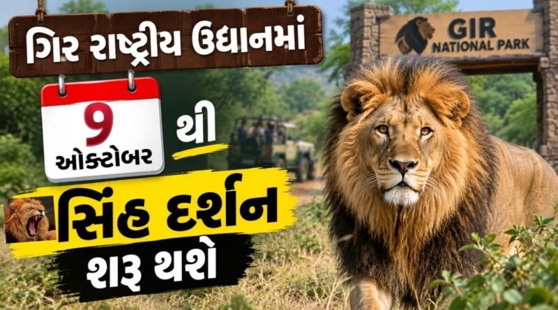Breaking News : બેગ કરી લેજો પેક, 9  ઓક્ટોબરથી કરી શકશો સિંહ દર્શન, જુઓ વીડિયો