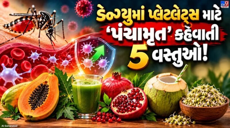 ડેન્ગ્યુમાં પ્લેટલેટ્સ ઘટે ત્યારે શું ખાવું અને શું પીવું ? જાણો જરૂરી ટિપ્સ