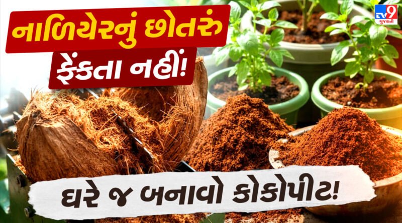 How To Make Cocopeat : નાળિયેરના છોતરાં ફેંકતા પહેલાં થોભો ! ઘરે જ બનાવો મોંઘું કોકોપીટ, છોડની માટી બની જશે વધુ સારી