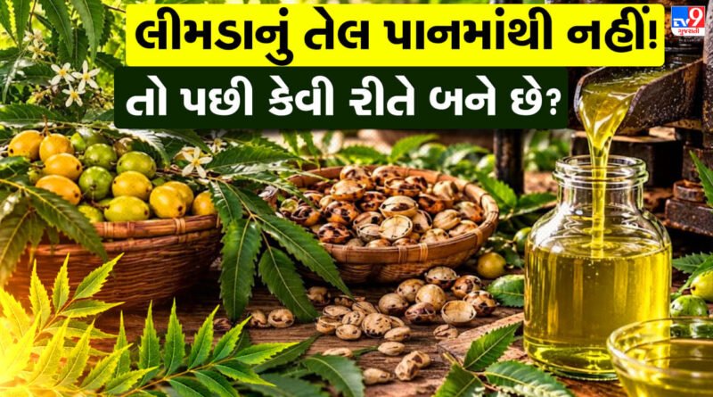 How To Make Neem Oil : ઘરે જ બનાવો લીમડાનું શુદ્ધ તેલ, જાણો બીજમાંથી તેલ કાઢવાની દેશી રીત