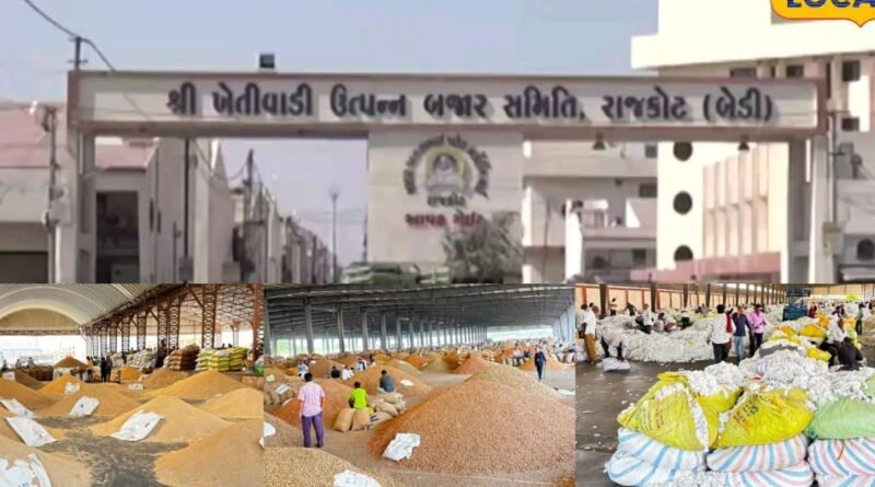 રાજકોટ માર્કેટ યાર્ડમાં જણસીની ધૂમ આવક! મગફળીથી લઈને કપાસ સુધીના ભાવ જાણો