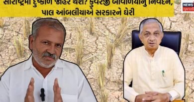 કુંવરજી બાવળિયાની દુષ્કાળની સ્થિતિ અંગેની પ્રતિક્રિયા સામે પાલ આંબલિયાનો વળતો જવાબ