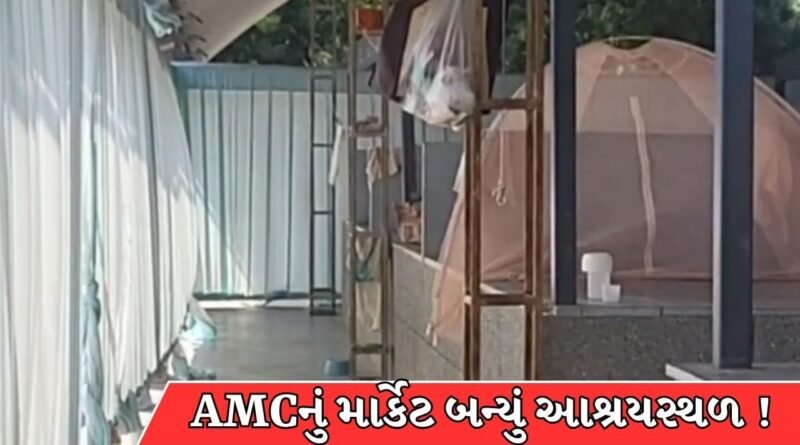 Ahmedabad Breaking News : કરોડોના ખર્ચે બનેલું AMCનું વેજીટેબલ માર્કેટ બન્યું આશ્રયસ્થળ, તંત્રની કામગીરી સામે સવાલ ! જુઓ Video