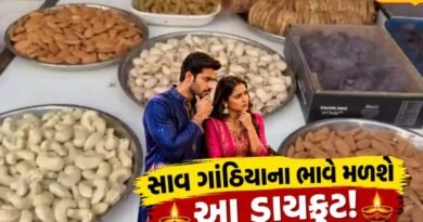 Diwali Dryfruit: પિસ્તા 1000 તો બદામ 400 રૂપિયા મોંઘી! પણ આ ડ્રાયફ્રુટ 75 ટકા સસ્તું થયું, જાણો દિવાળી કેવી રહેશે