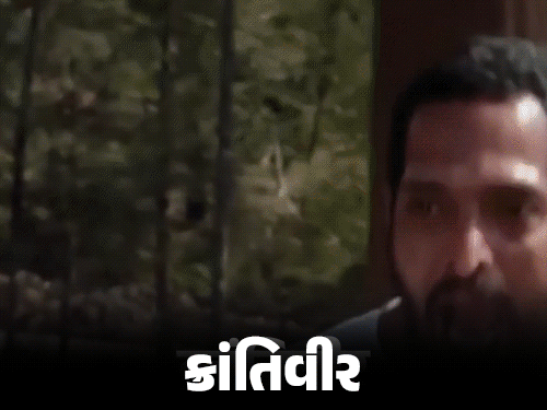 નાના પાટેકરે ‘અંકુશ’ માટે ઘર ગીરવે રાખ્યું હતું:પ્રોડ્યુસર પાસે વાસણ ધોવડાવ્યા, ‘પરિંદા’ના ક્લાઇમેક્સમાં આગથી દાઝ્યા; દિગ્ગજ એક્ટરના વણકહ્યા કિસ્સા