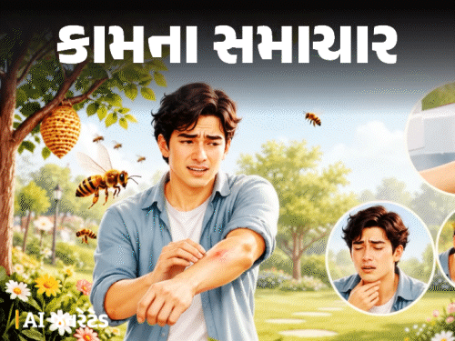 મધમાખી ડંખ મારે ત્યારે 8 કામ ભૂલથી પણ ન કરશો:આ 5 સંકેતો દેખાય તો તાત્કાલિક ડૉક્ટરને બતાવો, ડૉક્ટર પાસેથી જાણો ફર્સ્ટ એડની સાચી રીત મધમાખી ડંખ મારે ત્યારે 8 કામ ભૂલથી પણ ન કરશો:આ 5 સંકેતો દેખાય તો તાત્કાલિક ડૉક્ટરને બતાવો, ડૉક્ટર પાસેથી જાણો ફર્સ્ટ એડની સાચી રીત