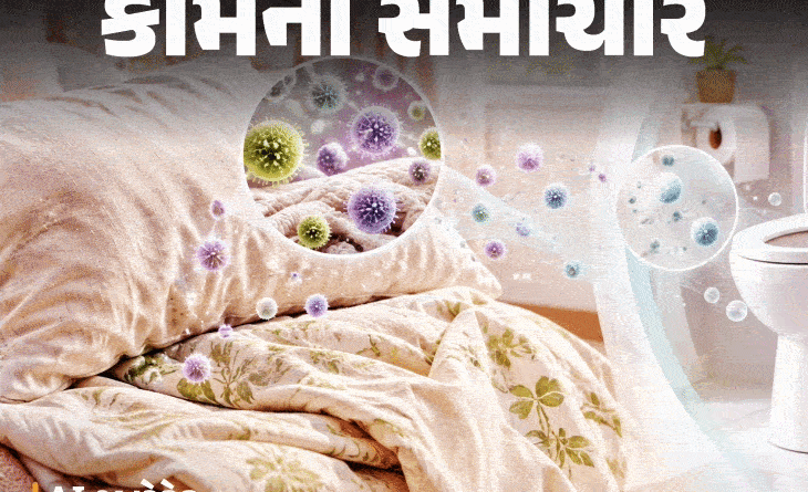 ધોયા વિનાના પિલો કવર-ઓછાડ પર ટોયલેટ સીટથી વધુ જર્મ્સ:જાણો ઘરનાં કયા કપડાંમાં સૌથી વધુ જંતુઓ, તેને કેટલા દિવસે ધોવા જોઈએ ધોયા વિનાના પિલો કવર-ઓછાડ પર ટોયલેટ સીટથી વધુ જર્મ્સ:જાણો ઘરનાં કયા કપડાંમાં સૌથી વધુ જંતુઓ, તેને કેટલા દિવસે ધોવા જોઈએ