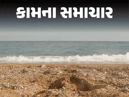 ‘પોષક તત્ત્વોનું પાવરહાઉસ’ એટલે કિવી:કબજિયાત દૂર કરે, BP કંટ્રોલમાં રાખે; જાણો સુપરફુડની ન્યુટ્રિશનલ વેલ્યૂ, સ્વાસ્થ્ય લાભો અને કોણે ન ખાવું ‘પોષક તત્ત્વોનું પાવરહાઉસ’ એટલે કિવી:કબજિયાત દૂર કરે, BP કંટ્રોલમાં રાખે; જાણો સુપરફુડની ન્યુટ્રિશનલ વેલ્યૂ, સ્વાસ્થ્ય લાભો અને કોણે ન ખાવું